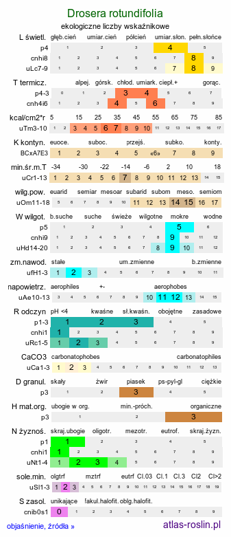 ekologiczne liczby wskaźnikowe Drosera rotundifolia (rosiczka okrągłolistna)