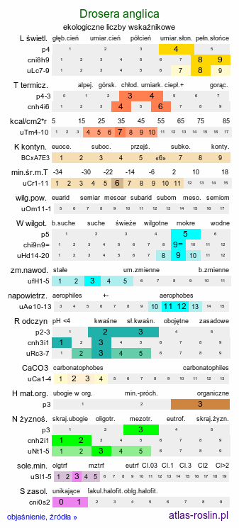 ekologiczne liczby wskaźnikowe Drosera anglica (rosiczka długolistna)