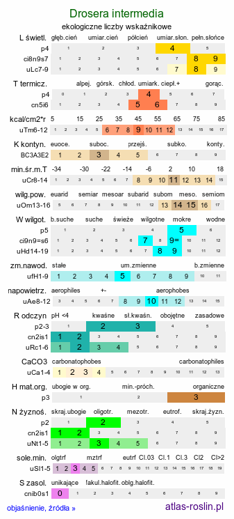 ekologiczne liczby wskaźnikowe Drosera intermedia (rosiczka pośrednia)