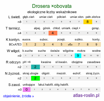 ekologiczne liczby wskaźnikowe Drosera ×obovata (rosiczka owalna)