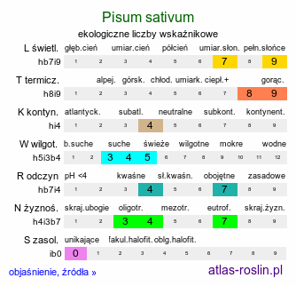 ekologiczne liczby wskaźnikowe Pisum sativum (groch zwyczajny)