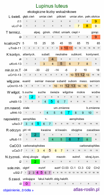 ekologiczne liczby wskaźnikowe Lupinus luteus (łubin żółty)