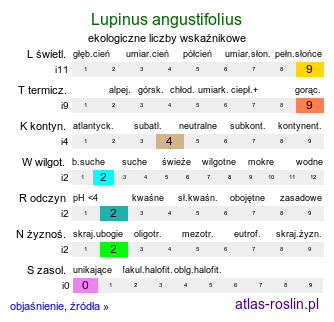 ekologiczne liczby wskaźnikowe Lupinus angustifolius (łubin wąskolistny)