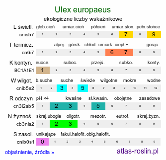 ekologiczne liczby wskaźnikowe Ulex europaeus (kolcolist zachodni)