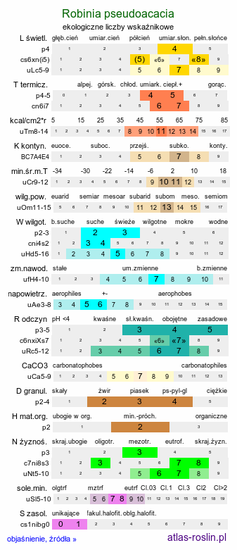 ekologiczne liczby wskaźnikowe Robinia pseudoacacia (robinia akacjowa)