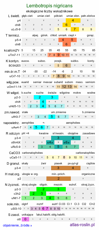 ekologiczne liczby wskaźnikowe Lembotropis nigricans (szczodrzyk czerniejący)