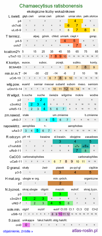 ekologiczne liczby wskaźnikowe Chamaecytisus ratisbonensis (szczodrzeniec rozesłany)