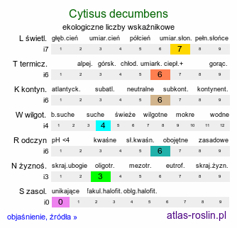 ekologiczne liczby wskaźnikowe Cytisus decumbens (szczodrzeniec płożący)