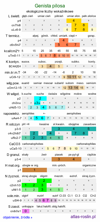 ekologiczne liczby wskaźnikowe Genista pilosa (janowiec włosisty)