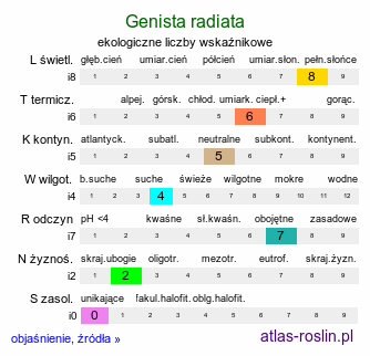 ekologiczne liczby wskaźnikowe Genista radiata (janowiec promienisty)