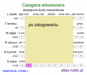 ekologiczne liczby wskaÅºnikowe Caragana arborescens (karagana syberyjska)