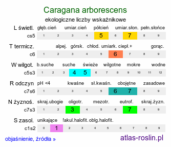 ekologiczne liczby wskaźnikowe Caragana arborescens (karagana syberyjska)