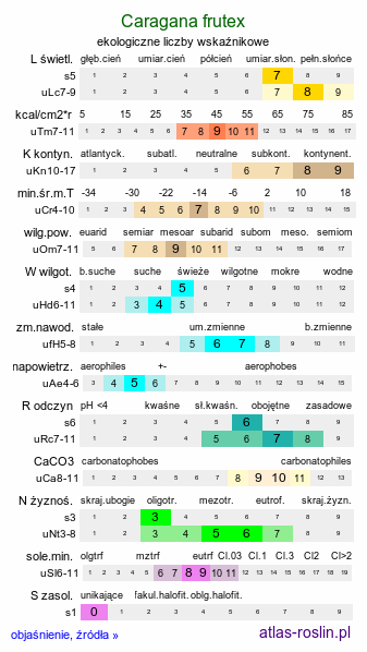 ekologiczne liczby wskaźnikowe Caragana frutex (karagana podolska)