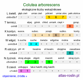 ekologiczne liczby wskaźnikowe Colutea arborescens (moszenki południowe)