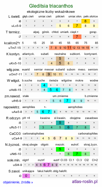 ekologiczne liczby wskaźnikowe Gleditsia triacanthos (glediczja trójcierniowa)