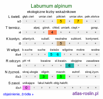 ekologiczne liczby wskaźnikowe Laburnum alpinum (złotokap alpejski)