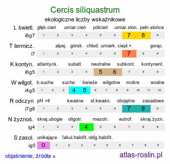 ekologiczne liczby wskaźnikowe Cercis siliquastrum (judaszowiec południowy)