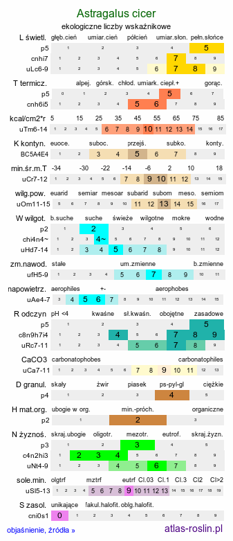 ekologiczne liczby wskaźnikowe Astragalus cicer (traganek pęcherzykowaty)