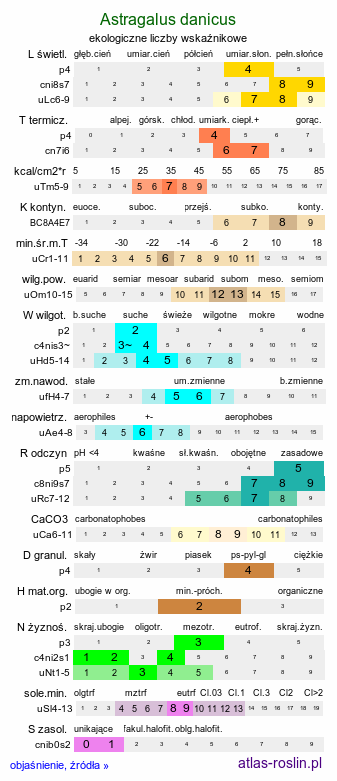 ekologiczne liczby wskaźnikowe Astragalus danicus (traganek duński)