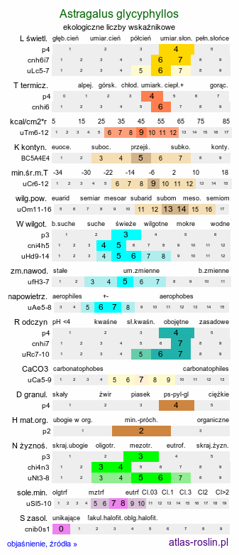 ekologiczne liczby wskaźnikowe Astragalus glycyphyllos (traganek szerokolistny)