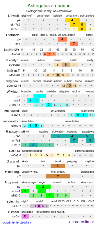 ekologiczne liczby wskaźnikowe Astragalus arenarius (traganek piaskowy)