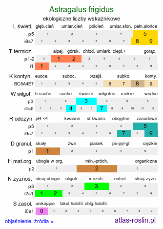 ekologiczne liczby wskaźnikowe Astragalus frigidus (traganek wytrzymały)