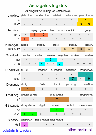 ekologiczne liczby wskaźnikowe Astragalus frigidus (traganek wytrzymały)