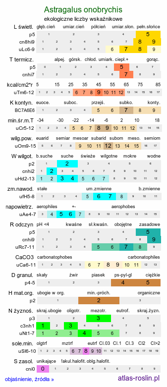 ekologiczne liczby wskaźnikowe Astragalus onobrychis (traganek długokwiatowy)