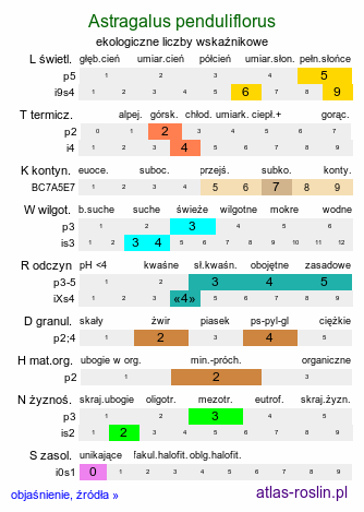 ekologiczne liczby wskaźnikowe Astragalus penduliflorus (traganek zwisłokwiatowy)