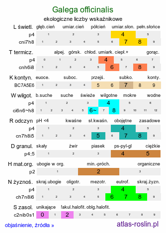 ekologiczne liczby wskaźnikowe Galega officinalis (rutwica lekarska)