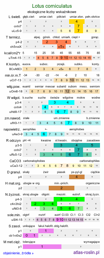ekologiczne liczby wskaźnikowe Lotus corniculatus (komonica zwyczajna)
