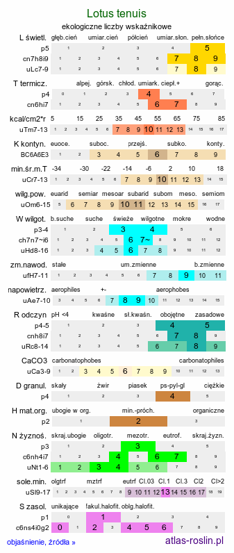 ekologiczne liczby wskaźnikowe Lotus tenuis (komonica wąskolistna)