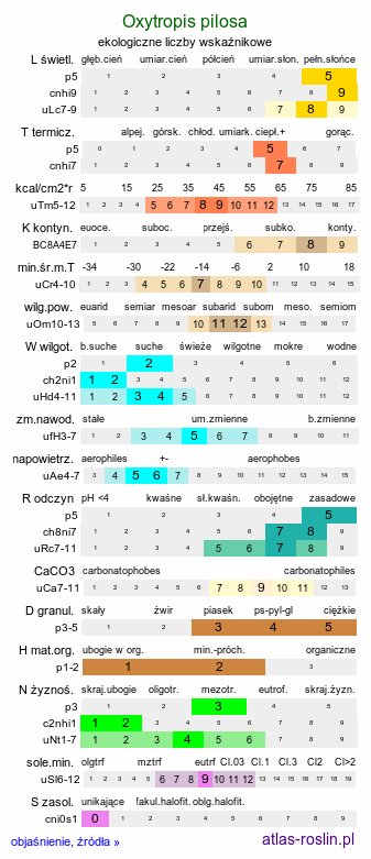 ekologiczne liczby wskaźnikowe Oxytropis pilosa (ostrołódka kosmata)