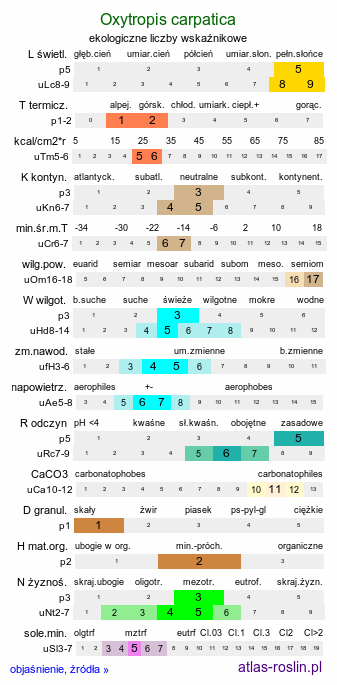 ekologiczne liczby wskaźnikowe Oxytropis carpatica (ostrołódka karpacka)