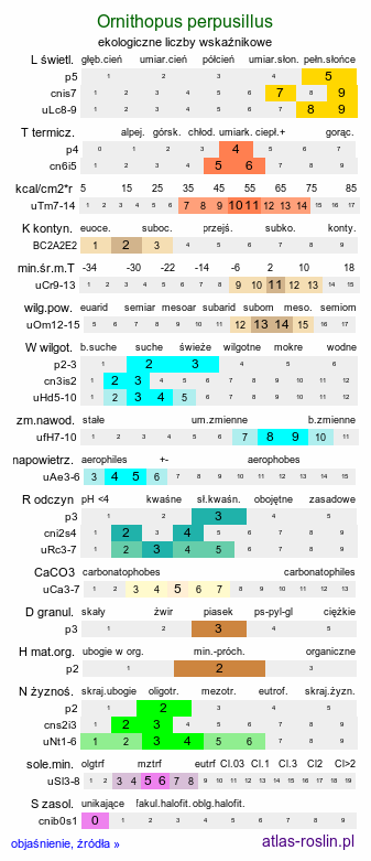 ekologiczne liczby wskaźnikowe Ornithopus perpusillus (seradela drobna)
