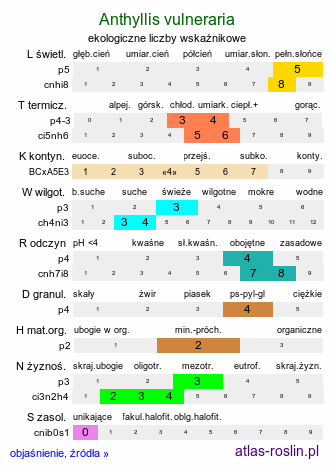 ekologiczne liczby wskaźnikowe Anthyllis vulneraria (przelot pospolity)