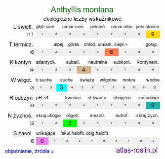 ekologiczne liczby wskaźnikowe Anthyllis montana (przelot górski)