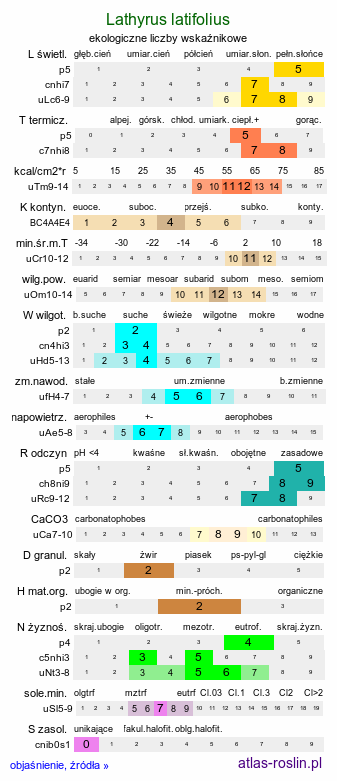 ekologiczne liczby wskaźnikowe Lathyrus latifolius (groszek szerokolistny)