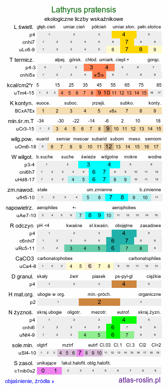ekologiczne liczby wskaźnikowe Lathyrus pratensis (groszek łąkowy)