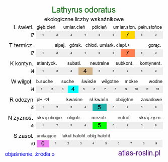 ekologiczne liczby wskaźnikowe Lathyrus odoratus (groszek pachnący)