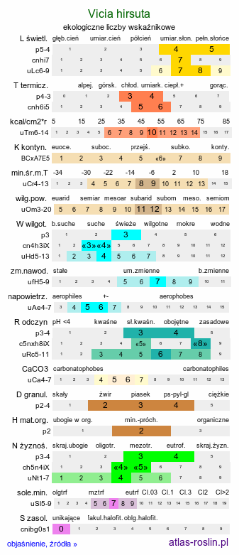 ekologiczne liczby wskaźnikowe Vicia hirsuta (wyka drobnokwiatowa)