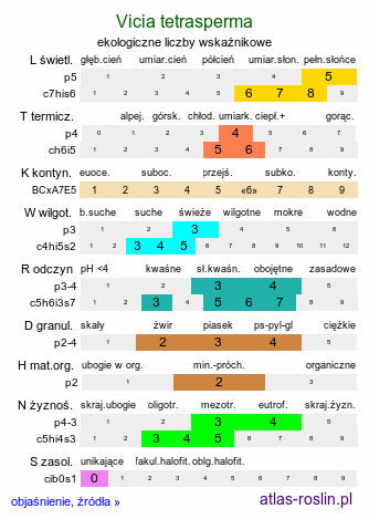 ekologiczne liczby wskaźnikowe Vicia tetrasperma (wyka czteronasienna)