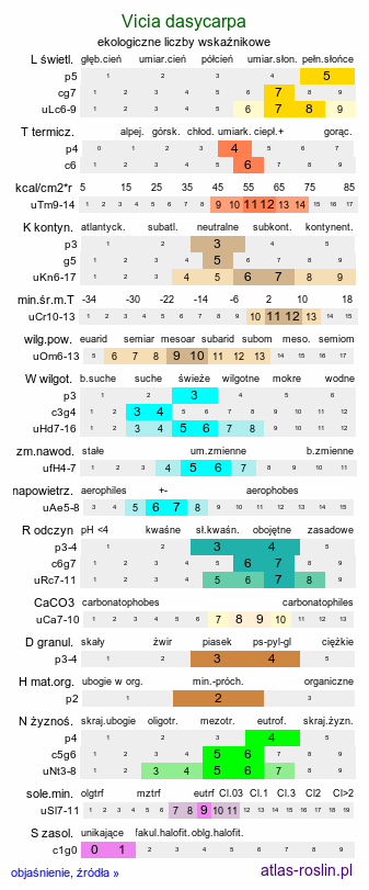 ekologiczne liczby wskaźnikowe Vicia dasycarpa (wyka pstra)