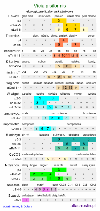 ekologiczne liczby wskaźnikowe Vicia pisiformis (wyka grochowata)