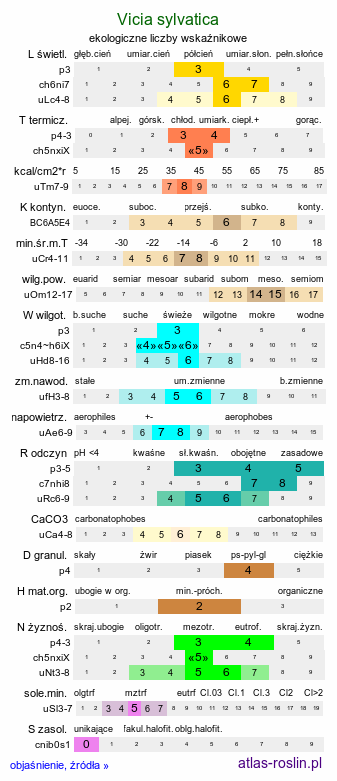 ekologiczne liczby wskaźnikowe Vicia sylvatica (wyka leśna)