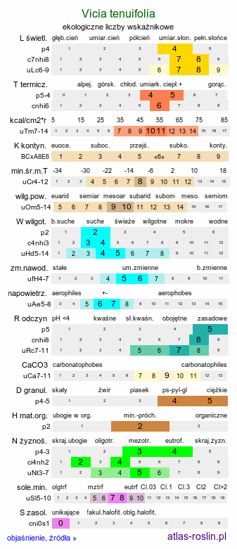 ekologiczne liczby wskaźnikowe Vicia tenuifolia (wyka długożagielkowa)