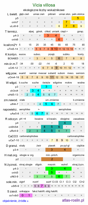 ekologiczne liczby wskaźnikowe Vicia villosa (wyka kosmata)