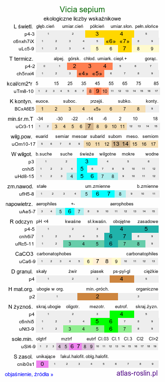 ekologiczne liczby wskaźnikowe Vicia sepium (wyka płotowa)