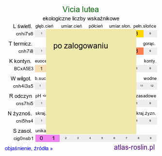 ekologiczne liczby wskaźnikowe Vicia lutea (wyka żółta)