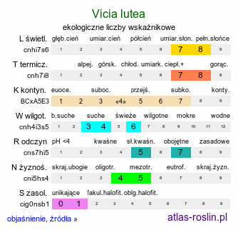 ekologiczne liczby wskaźnikowe Vicia lutea (wyka żółta)